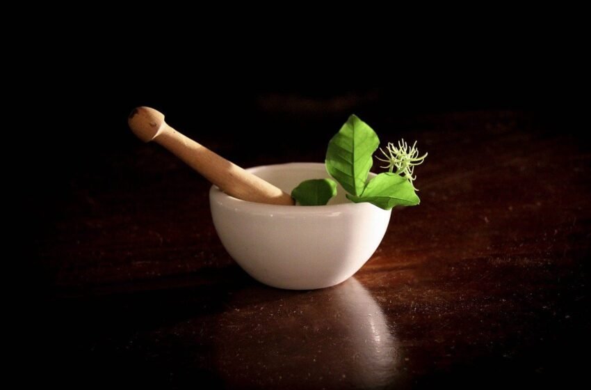 Natural Remedies to Manage Everyday Life Stress